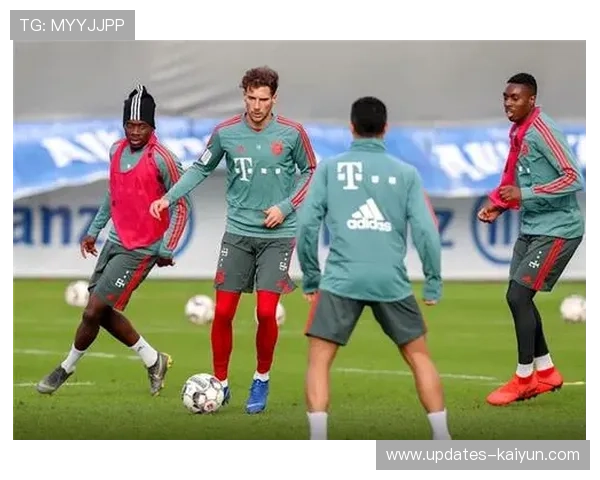 德甲联赛社会影响力提升助推公益项目参与度全面增长